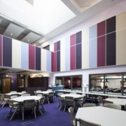 Ecophon Wall Panel