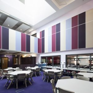 Ecophon Wall Panel